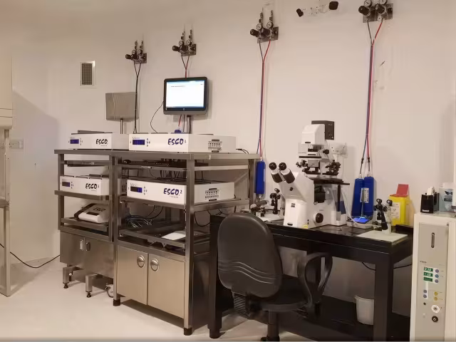 Cyprus Crown IVF