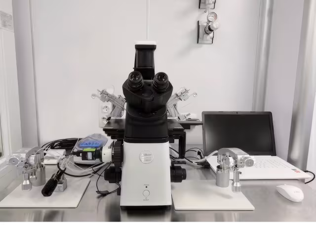 Embryolab