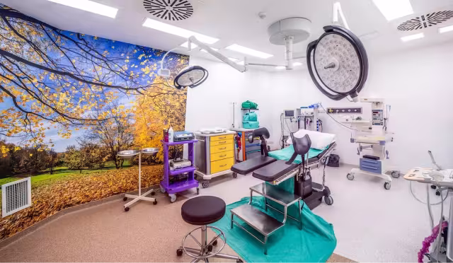 Miracle IVF Cyprus by Dr. Firdevs