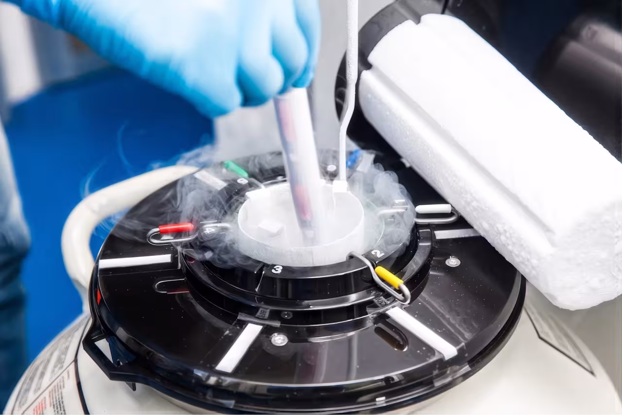 CYPRUS IVF CENTRE 3.webp