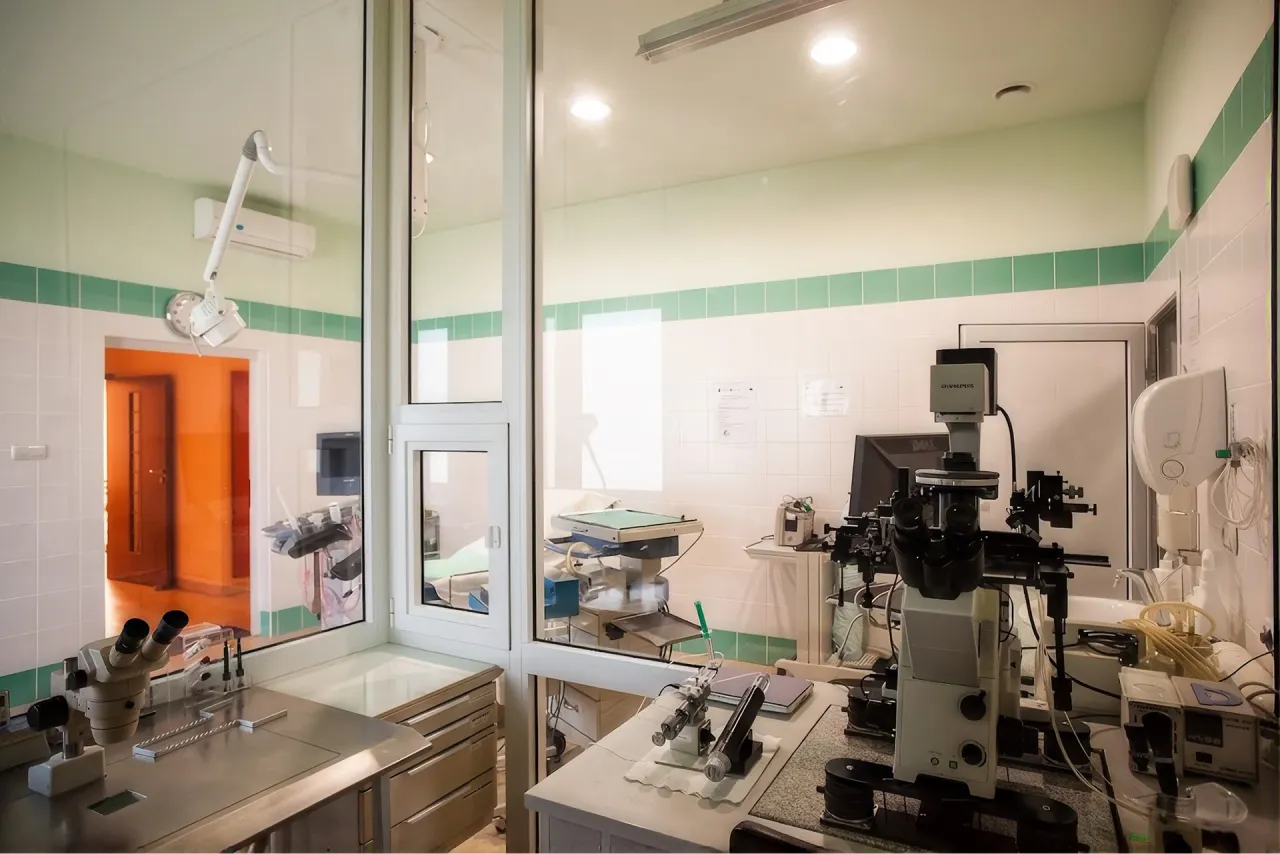 In Vitro Gravita Łódź 5.webp