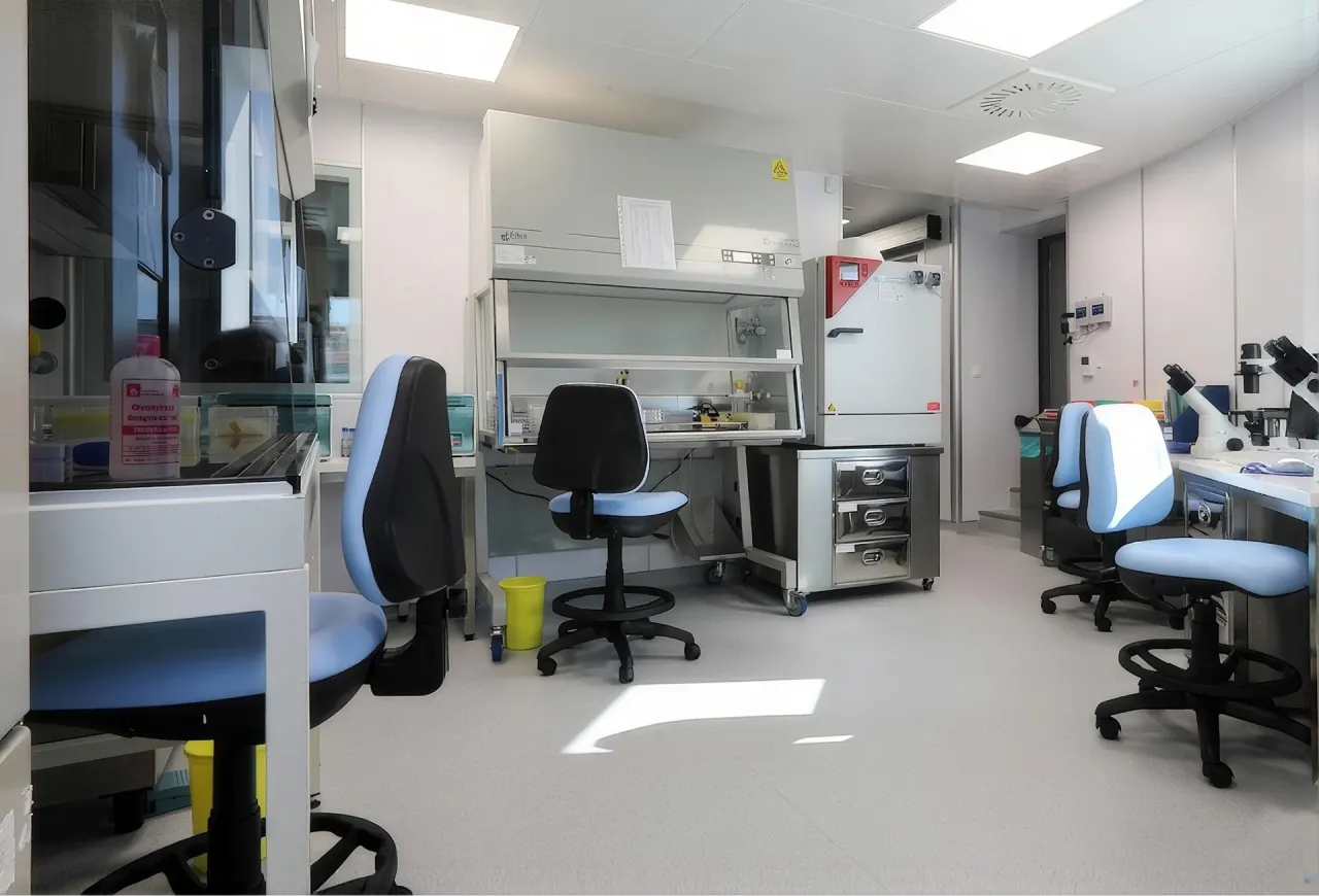 EMBRYOLAB 10.webp