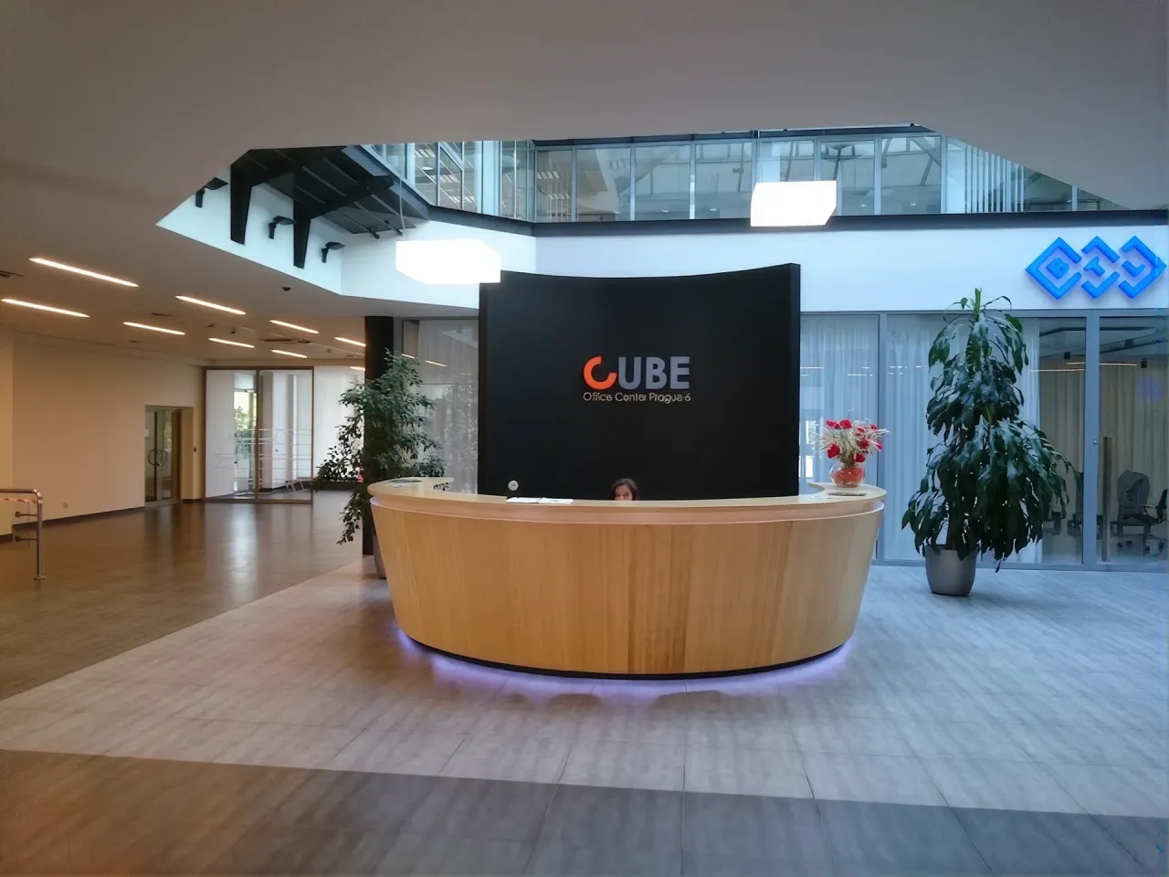 IVF CUBE 3.webp