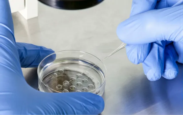 Bahçeci Fulya IVF Centre