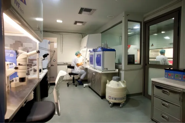 Embryolab