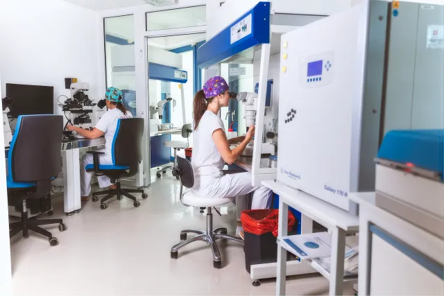 Europe IVF