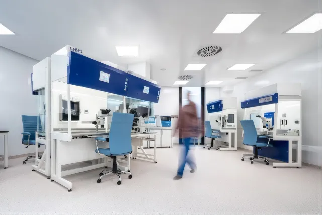Europe IVF