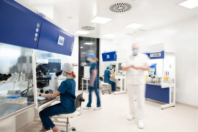 Europe IVF