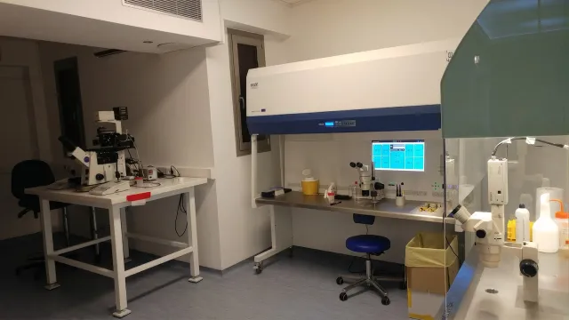Life Clinic