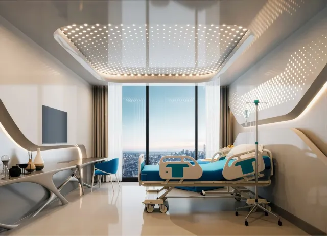Liv Hospital Ulus