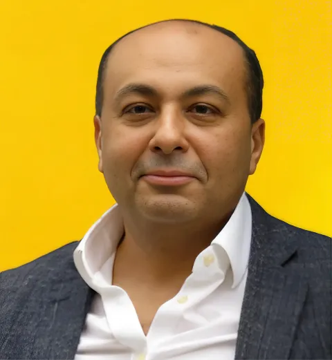 Professor Amr Raheem